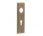 Burlington Din Euro Profile Lock Plate Choices